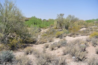 7777 E Sunflower Ct unit 5, Scottsdale, AZ 85266 - photo 3