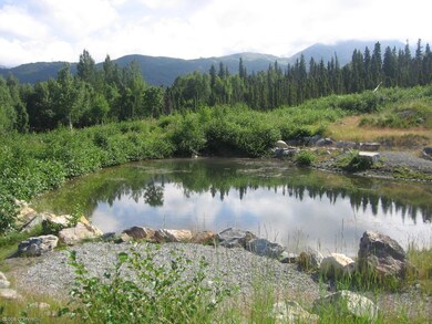 Pond