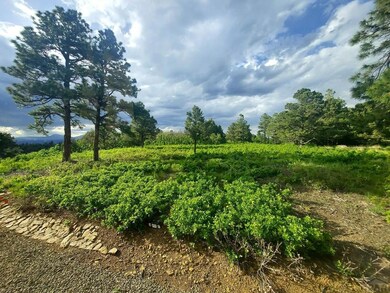 4207 Cedar Ridge Ln, Trinidad, CO 81082 - photo 2