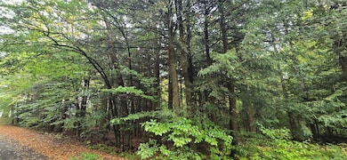 0 Sprague Rd unit 333093, Afton, NY 13730 - photo 3