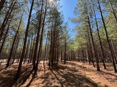 0 Worley Rd unit RTC2810073, Soddy-Daisy, TN 37379 - photo 3