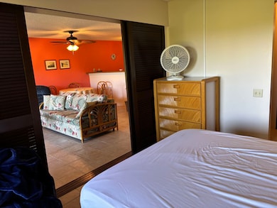 50 Kepuhi Place unit 159, Maunaloa, HI 96770 - photo 3