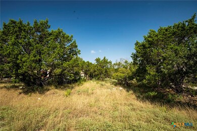 2601 Summit Dr, Canyon Lake, TX 78132 - photo 4