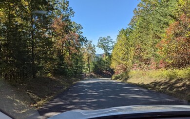 Additional View