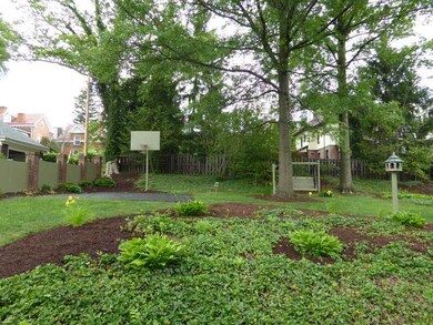Yard/Garden.