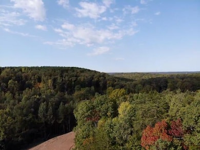 Hodges Cemetery Rd, Brookside, AL 35068 - photo 4