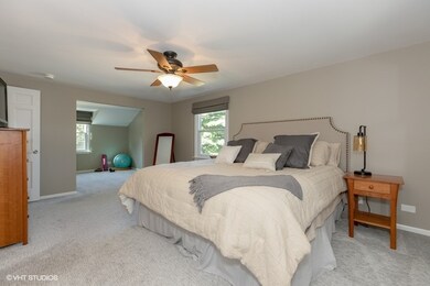 713 E Bauer Rd, Naperville, IL 60563 - photo 7
