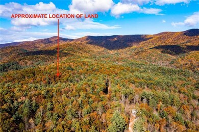 799 Whitecliff Dr, Ellijay, GA 30540 - photo 2