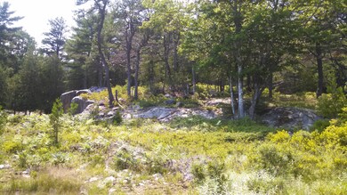 Potential elevated building site