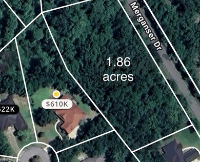 129 Merganser Dr, Brunswick, GA 31523 - photo 4