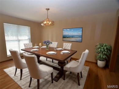 1026 Hawthorne Place, O Fallon, IL 62269 - photo 2