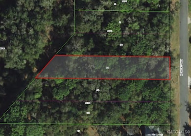 1040 N Christy Way, Inverness, FL 34453 - photo 3