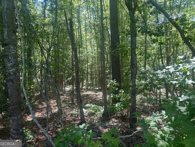 0 Rocky Knob Rd unit 10527508, Sylvania, GA 30467 - photo 4