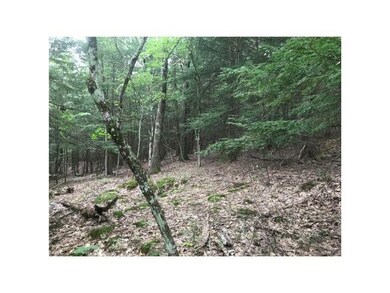 00 County Rd unit 2 & 3, Walpole, NH 03608 - photo 7