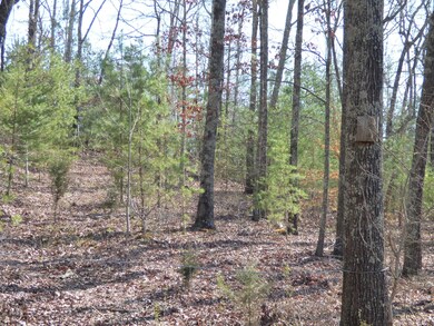 Vance rd Idle Oaks 177