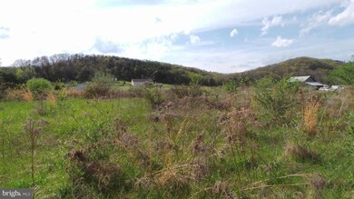 13 Amulet Dr, Berkeley Springs, WV 25411 - photo 4