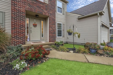 4-web-or-mls-G02A4833