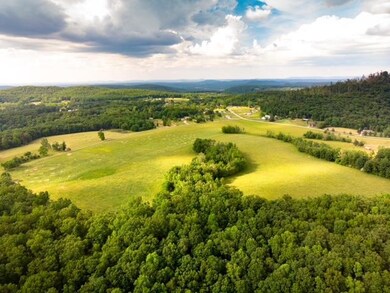 113.79Ac Falling Water Rd, Cookeville, TN 38506 - photo 2