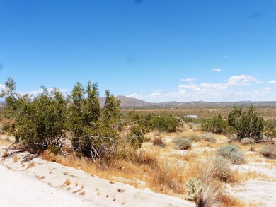 0 Cottonwood Rd unit JT19121135, Joshua Tree, CA 92252 - photo 7