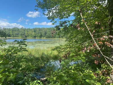 XXX Pot o Gold Rd, Oakland, WI 54830 - photo 2