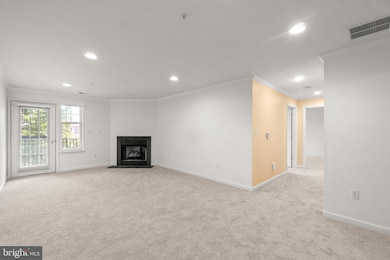 4700 Coyle Rd unit 304, Owings Mills, MD 21117 - photo 7