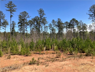 View of local wilderness