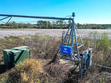 500 Joe Lawrence Rd, Ashburn, GA 31714 - photo 3