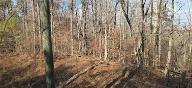 00001 Matt Hwy, Ball Ground, GA 30107 - photo 2