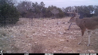 919 Sd unit 16010, Rocksprings, TX 78880 - photo 3