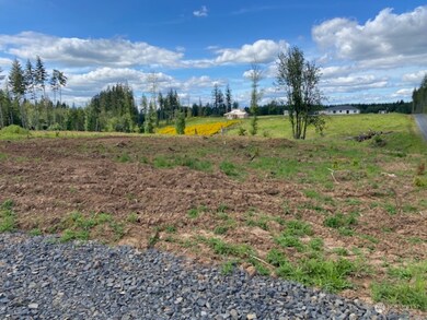 145 Nando Ln, Chehalis, WA 98532 - photo 2