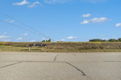 0 Schad Rd unit 24048893, Thornapple Township, MI 49333 - photo 4