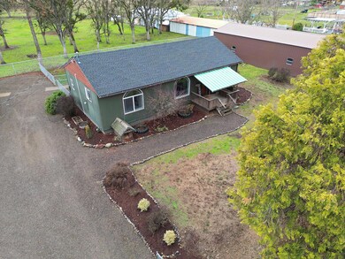 Gibbon drone006 copy
