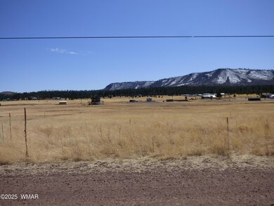 34 CR 2100 Alpine (5)