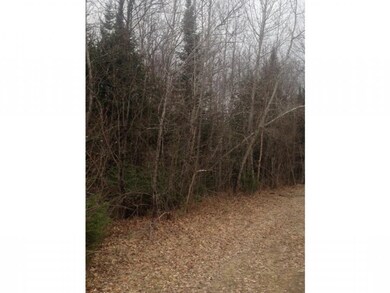 0 Hutchinson Rd unit 4488652, Colebrook, NH 03576 - photo 6