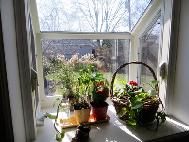 Overlook Rear Yard