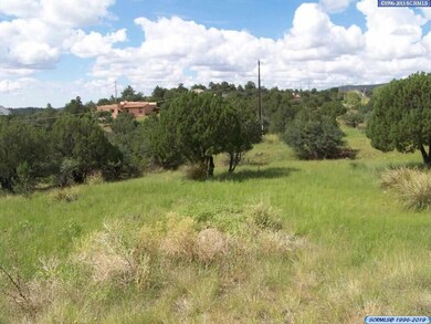 xxx Rosewood Cir, Silver City, NM 88061 - photo 5