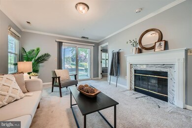 2 Tyler Falls Ct unit J, Baltimore, MD 21209 - photo 4