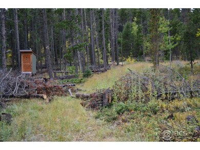 0 Crystal Mountain Rd unit 834134, Bellvue, CO 80512 - photo 5