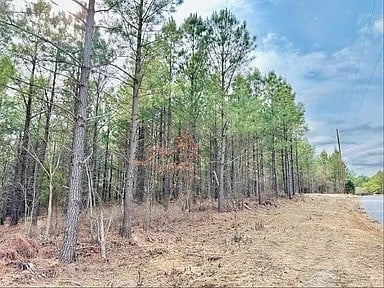 48 Ranches at Hickory Ridge, Dover, TN 37058 - photo 2