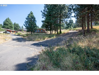 1251 SW Thornton Dr, Whitesalmon, WA 98672 - photo 6