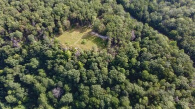 0 Partin Farm Rd unit RTC2908498, Tracy City, TN 37387 - photo 6