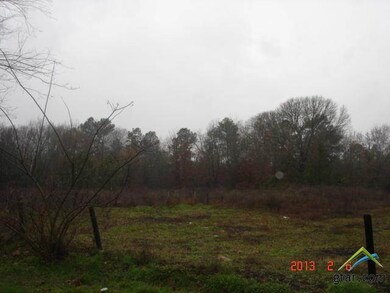 6394 County Road 21, Tyler, TX 75707 - photo 3