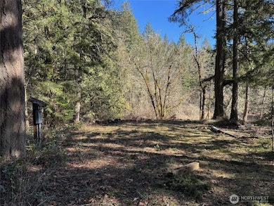 17820 Pondside Ct SE, Yelm, WA 98597 - photo 3