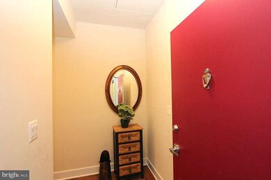 Mica Condominiums unit L1, Silver Spring, MD 20910 - photo 5