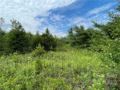 00 Damascus Church Rd, Statesville, NC 28625 - photo 6