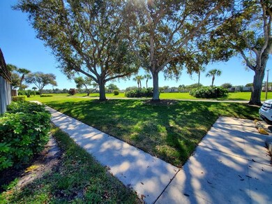 side yard