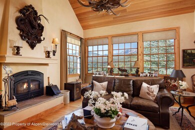 301 Stone Rd, Basalt, CO 81621 - photo 6