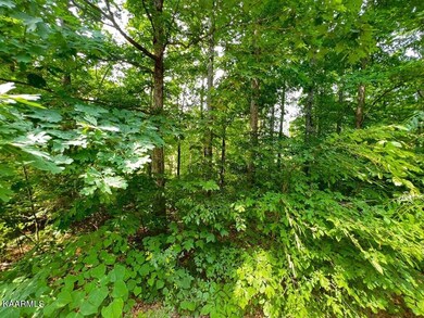 607120_2 - Copy - Copy