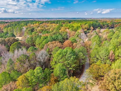 68.19 ac County Road 227, Water Valley, MS 38965 - photo 6