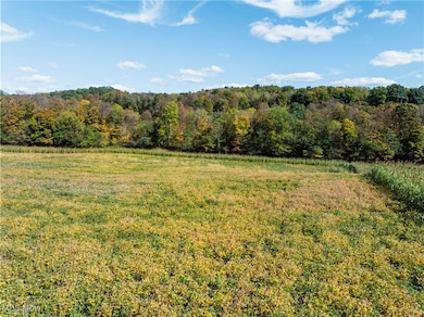 0 Moffett Rd, Lucas, OH 44843 - photo 2